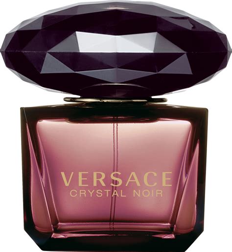 dolce gabbana crystal noir|Versace .